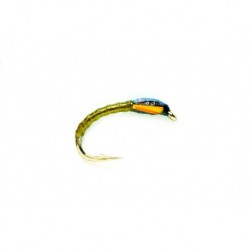 FM Olive