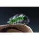 Foam Catapillar Green