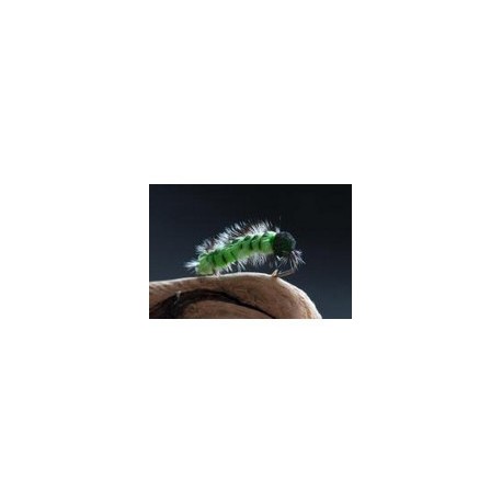 Foam Catapillar Green