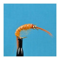 Bead Head Scud Orange