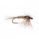 Foissets UV Callibaetis