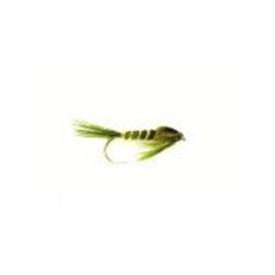 Fraser Nymph Olive