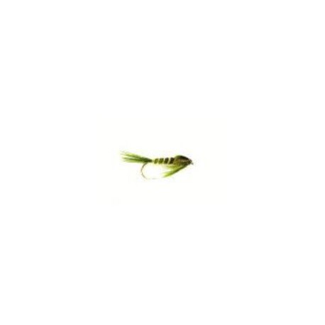 Fraser Nymph Olive