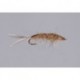 Galloups Callibaetis Nymph
