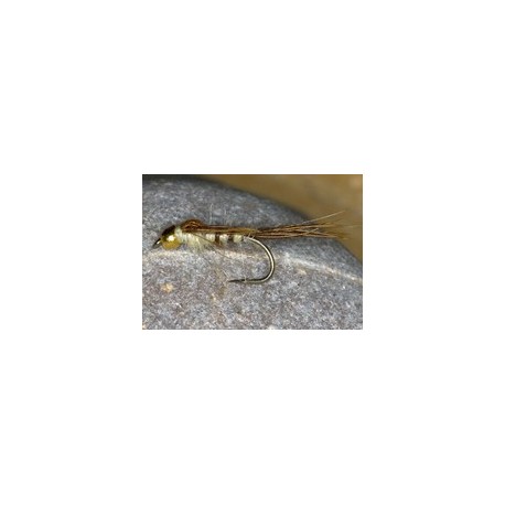GheadMayflyNymph