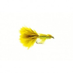 Glister Olive Damsel