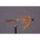 Gold Ribbed Hares Ear