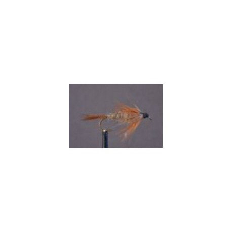 Gold Ribbed Hares Ear