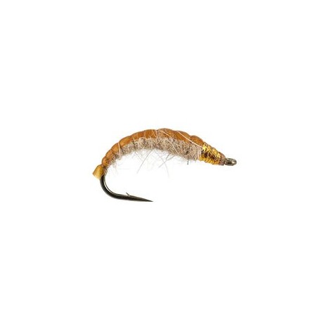 Golden Czech Nymph Superb