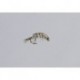 Gray Tungsten Scud TNG