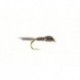 Grey Goose