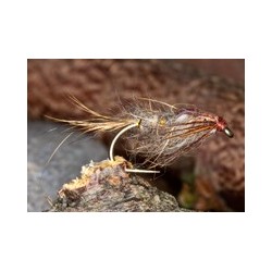 GRHENymph
