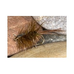 HalfbackNymph