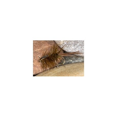 HalfbackNymph
