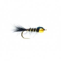 Hares Ear Dark