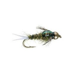 Hares Ear Black
