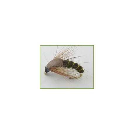 Hatching Sedge Brown