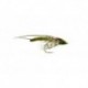 Hatching SP Olive