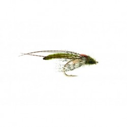 Hatching SP Olive
