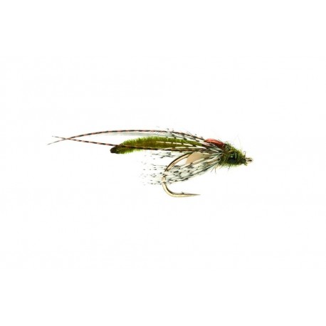 Hatching SP Olive