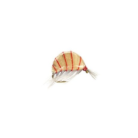 Heavy Epoxy Shrimp Natural