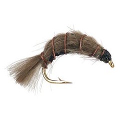 Heavy Grey Shrimp
