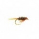 Hot Head Diawl Bach