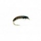 Hydropsyche