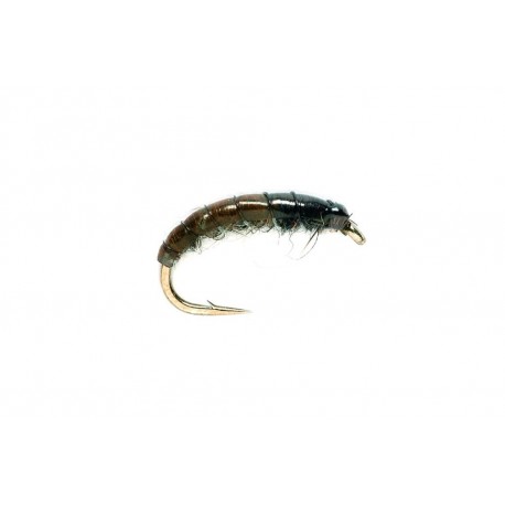 Hydropsyche