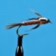 Isonychia Nymph