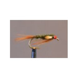 JC Diawl bach brown