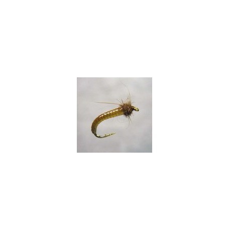 Kazulens Caddis