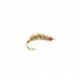 Killer Bug
