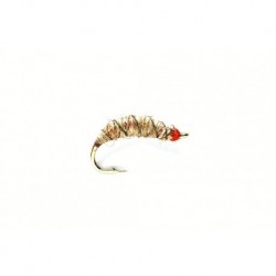 Killer Bug