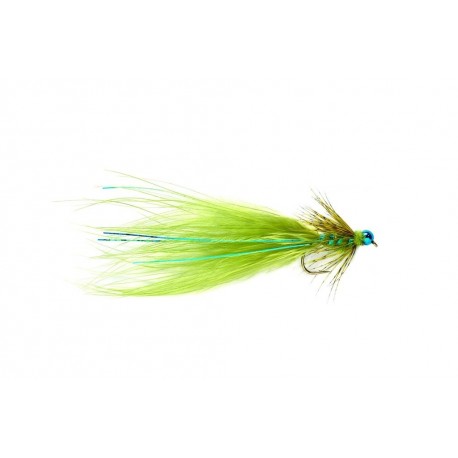 Kingfisher Blue Damsel