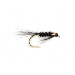 KJ Black 'n Red Diawl Bach
