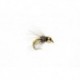 Le Bug Olive
