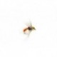 Le Bug Orange