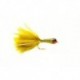 Lead Bug Olive