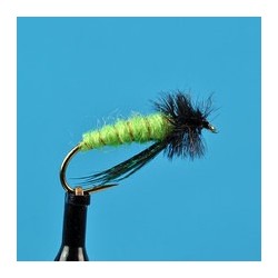 Little Green Rock Worm