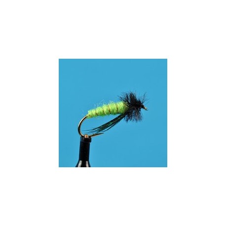 Little Green Rock Worm