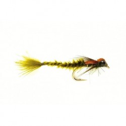Living Damsel Dark Olive