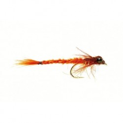 Living Damsel Fiery Brown