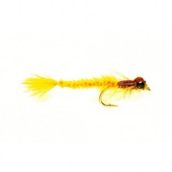 Living Damsel Gold Olive