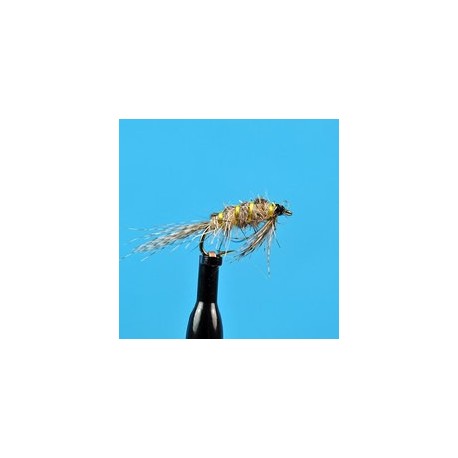 Longtail March Brown