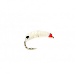 Maggot