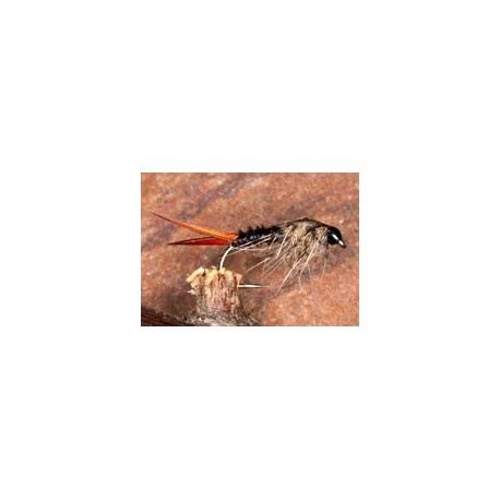 MahogonyMayflyNymph