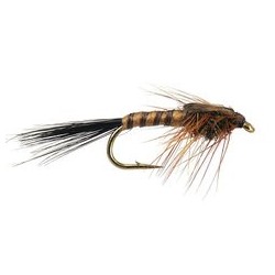 March Brown