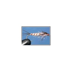 Mayfly Micro