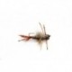 Mayfly Nymph